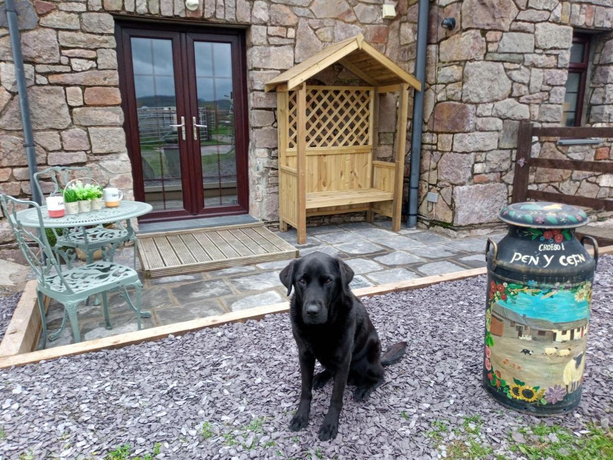 Conwy Pen Cefn Farm Holiday Abergele Esterno foto
