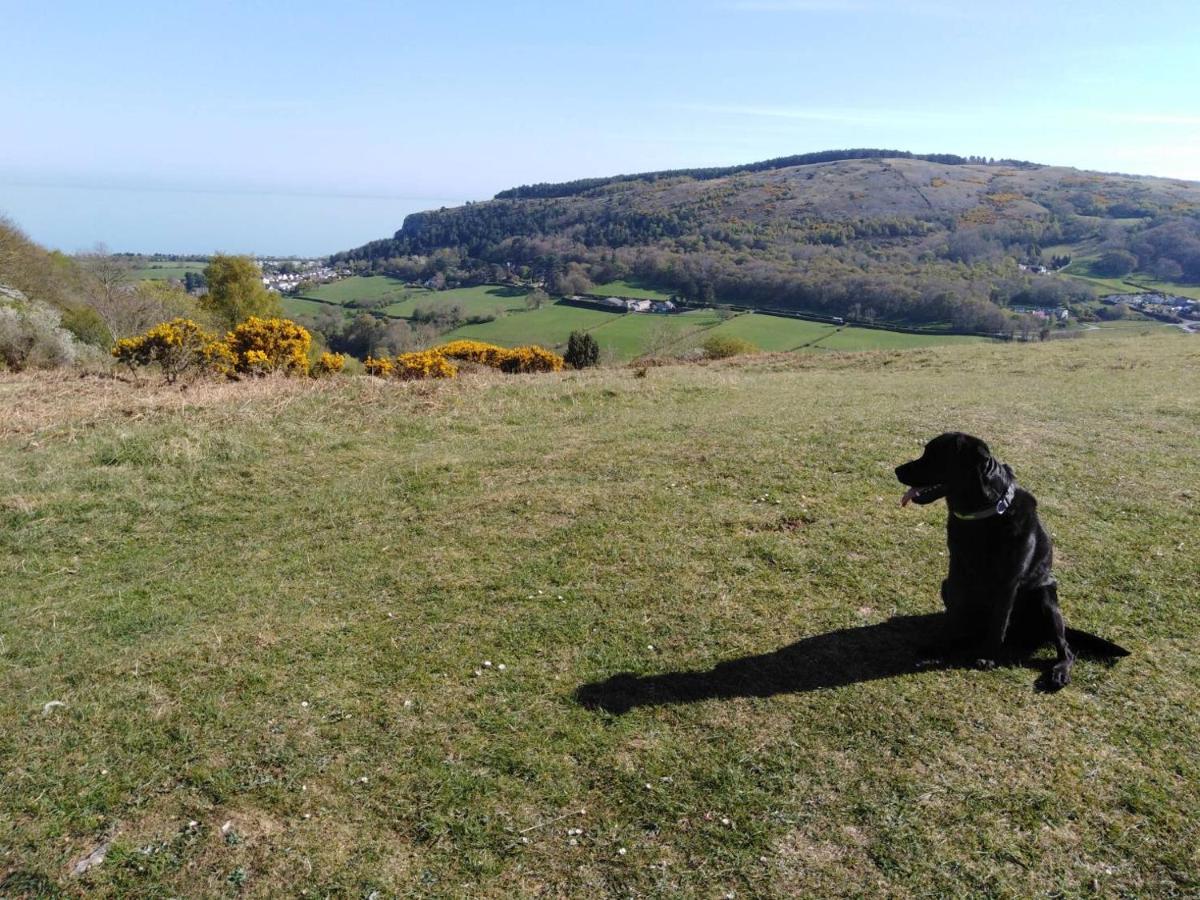 Conwy Pen Cefn Farm Holiday Abergele Esterno foto